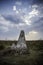 Termite mounds in Pantanal countyside environment, Transpantaneira Route,