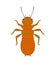 Termite Vector Insect