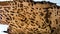 Termite wall damage texture background