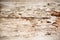 Termite wood background