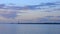 Tern flies at sunset with beautiful clouds and lighthouse