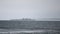 Tern flying in winter over Dnieper river near Kiev