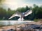 A tern taking off