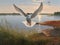 A tern taking off