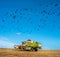 TERNOPIL REGION, UKRAINE - October 23, 2021 - old combine CLAAS harvester works in the field. harvesting soybeans and flocksrooks