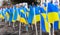 Ternopil, Ukraine - February 2023: Ukrainian flags on the avenue of memory of fallen soldiers in the Russian-Ukrainian war.