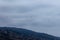 Terns flying over malibu hills homes from the ocean