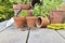 Terra cotta flower pots with plants and shovel  on a table