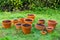 Terra Cotta Garden Pots with Soil