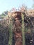 Terra-cotta Woman in Garden