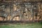 Terrace of the Elephants, part of the walled city of Angkor Thom, a ruined temple complex in Cambodia