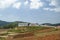 Terrace farming on hills near Ooty,Tamil Nadu,India