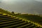 The terrace rice field on the mountain beautiful landscape view in Mu Cang Chai Vietnam