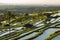 Terrace rice fields on a sunny day, Bali