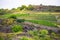 Terrace vineyard along the Rhine River in Germany