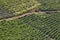 Terrace vineyards in Ribeira sacra. Ourense, Spain. Viticulture