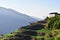 Terraced field in the Himalayas panorama