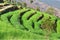 Terraced field in the Himalayas panorama