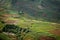 Terraced fields of Dieng plateau, Java, Indonesia