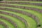 Terraced fields in the Inca archeological area of Pisac, Peru.