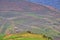 Terraced fields in the mountains of northwest Vietnam