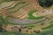 Terraced fields in Sa Pa - Lao Cai - North Vietnam