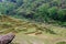 Terraced Hills In Sapa