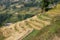 Terraced Hillsides of Nepal