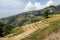 Terraced Hillsides of Nepal