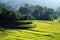 Terraced Paddy field in countryside, Chiang Mai, Thailand