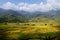 Terraced Paddy Fields