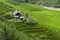 Terraced Rice Field