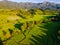 Terraced Rice Field in Chiangmai, Royal Project Khun Pae Northern Thailand