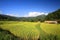 Terraced rice field and Farmer houses