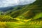 Terraced rice field in harvest season in Mu Cang Chai, Vietnam.