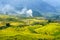 Terraced rice field landscape in harvesting season in Y Ty, Bat Xat district, Lao Cai, north Vietnam