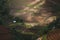 Terraced rice field landscape near Sapa in Vietnam