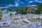 Terraced rice field at Maruyama Senmaida , Kumano City, Mie Prefecture