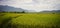 Terraced rice field in Northern, Vietnam