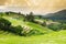 Terraced rice field with sun rays and dramatic sky in Pa Pong Pieng. Chiang Mai ,Thailand.