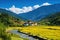 Terraced rice field in Yunnan, China. Yunnan is one of the most important tourist destinations in China, Bhutan, Tashichho Dzong