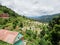 Terraced Rice Fields