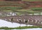 Terraced rice fields in Yuanyang county, Yunnan, China