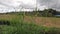 Terraced Rice Paddy Fields at Jatiluwih in Bali, Indonesia.