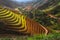 Terraced ricefield at Vietnam water season