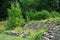 Terraced stone steps in a garden