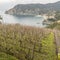 Terraced vineyard near Monterosso village, Italy