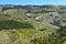 Terraced vineyards