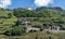 Terraced vineyards