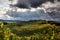 Terraced vineyards before the storm